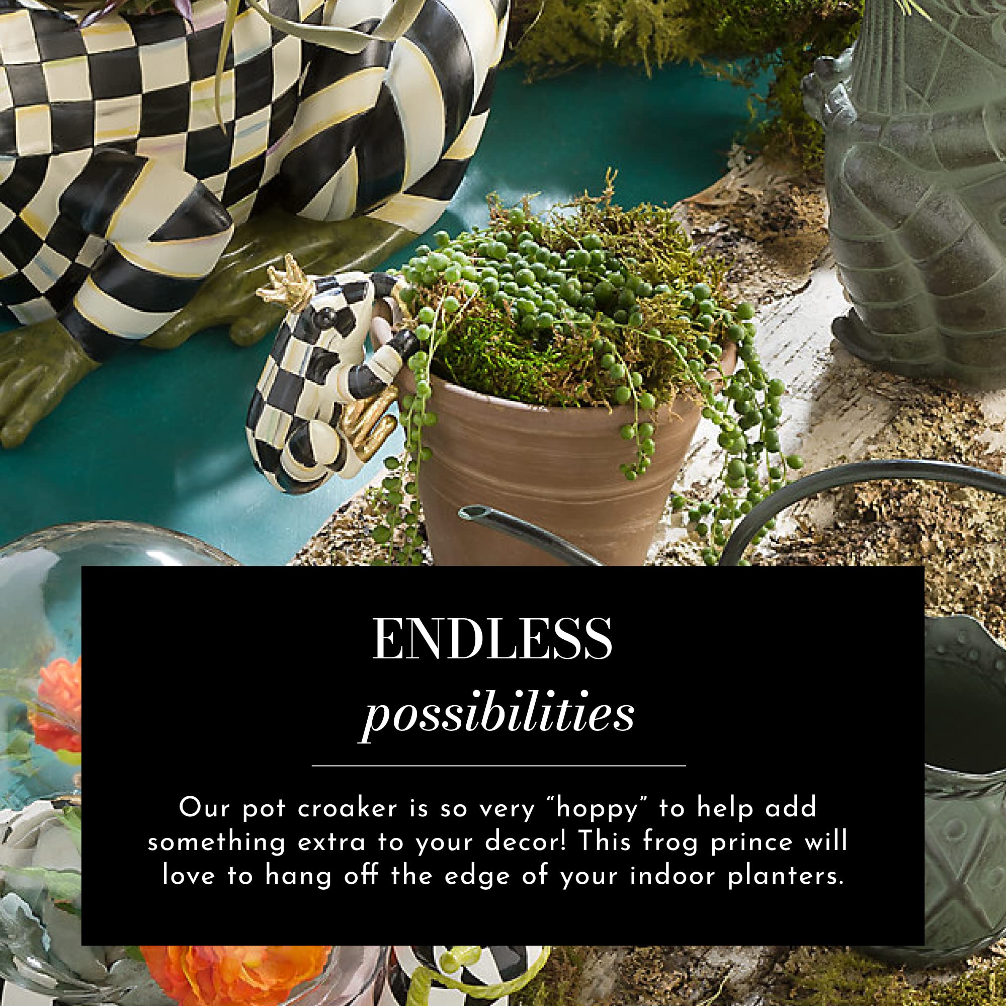81heHu38GYL Indoor Garden: Endless Plant Possibilities
